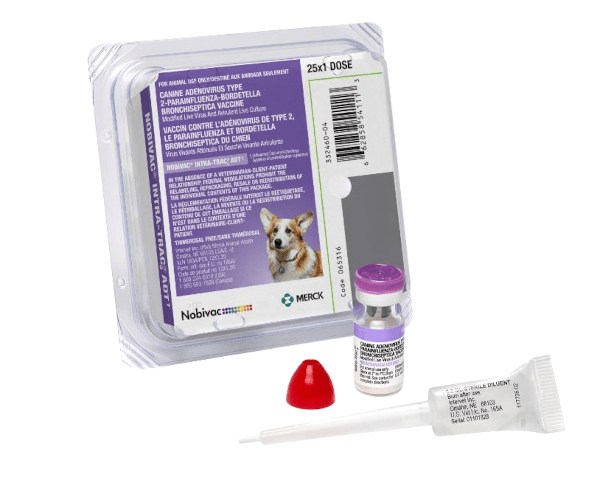 Vaccine - Nobivac Intra-Trac 3 ADT - Kennel Cough - 25 dose pack - OKIE DOG SUPPLY