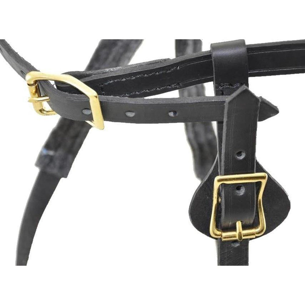 Viper Invader Working Dog Harness