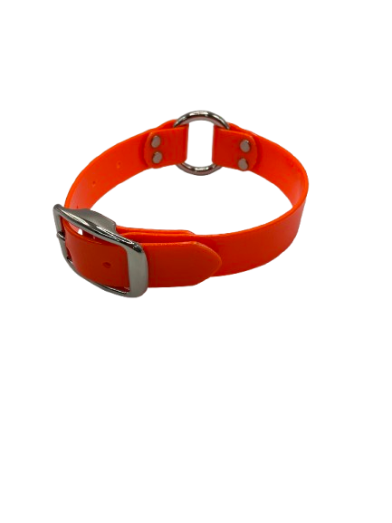 Collar - 3/4 Inch - Solid Dayglo