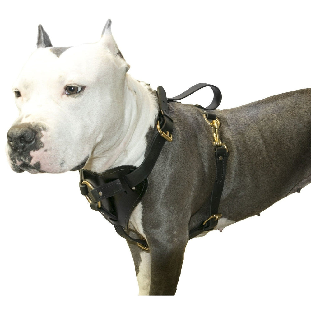 Viper Surge Biothane Working Dog Harness - Brass Hardware