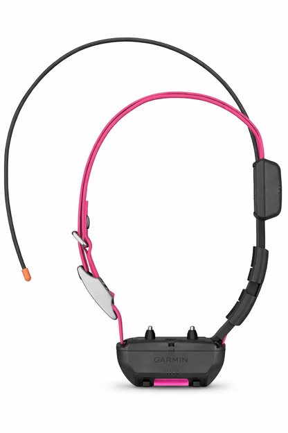 tt25 standard with pink collar strap