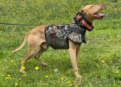 Ultra Flex Catch PRO Vest- Attached Collar/Leg Guards Lightweight - OKIE DOG SUPPLY