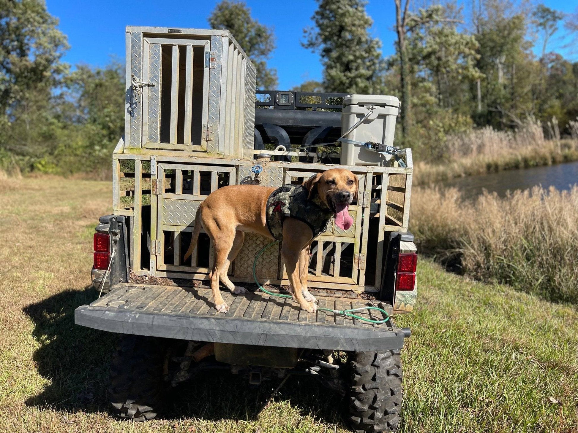 Ultra Flex Strike PRO Vest- Attached Collar Lightweight - OKIE DOG SUPPLY