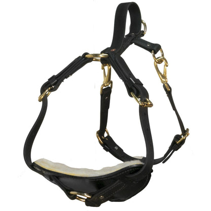 Viper Surge Biothane Working Dog Harness - Brass Hardware